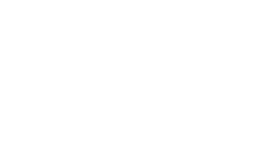 BUILDERS FORCE SERVICES LTD